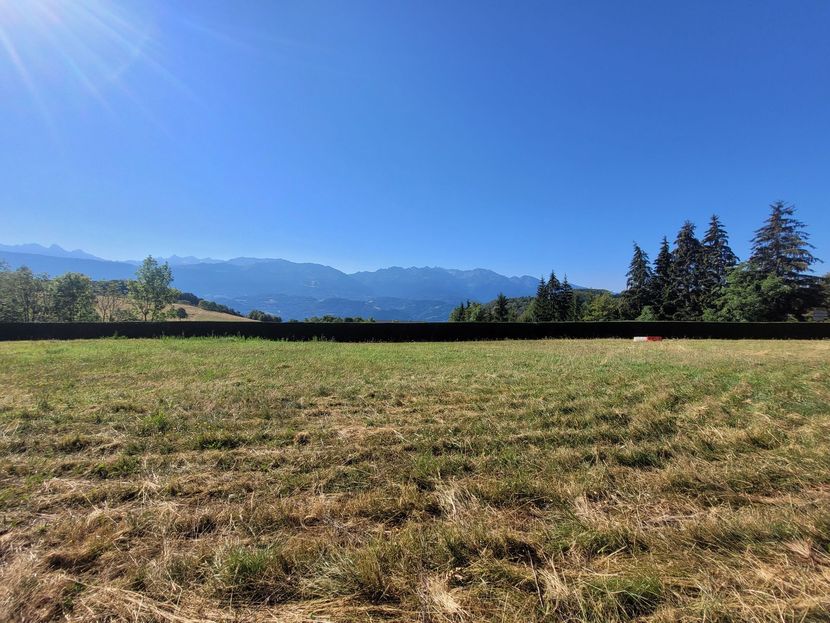 Champ herbeux et sec, bordé d'une sombre ligne d'arbres, ciel bleu et montagnes au loin.