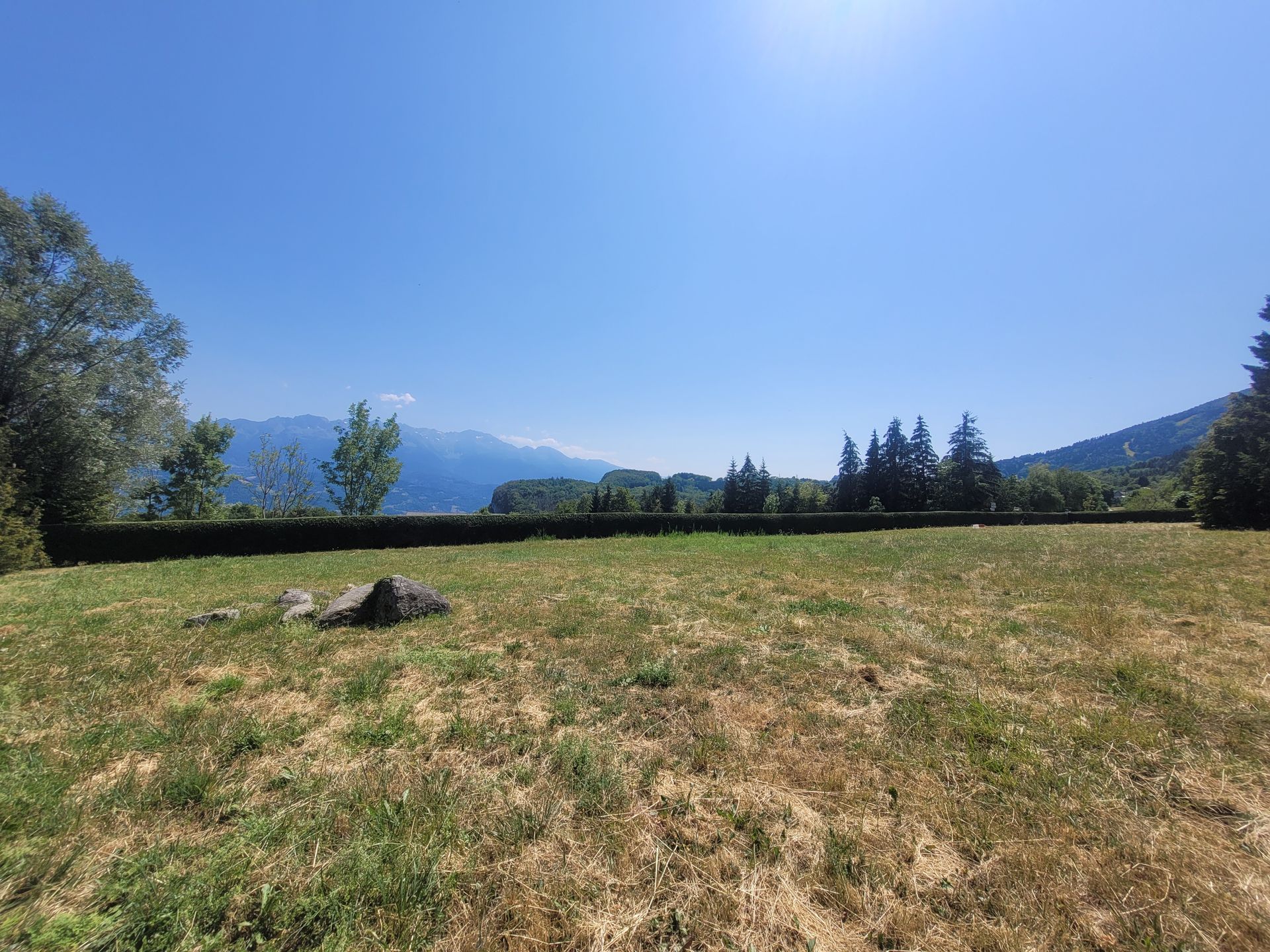 Prairie ensoleillée avec de l'herbe sèche, des arbres et des montagnes au loin sous un ciel bleu clair