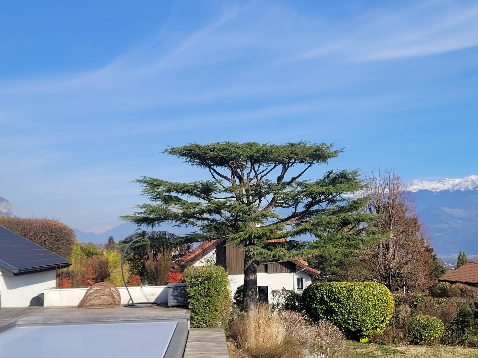 Jardin de montagne avec un grand arbre, des maisons et des sommets enneigés sous un ciel bleu
