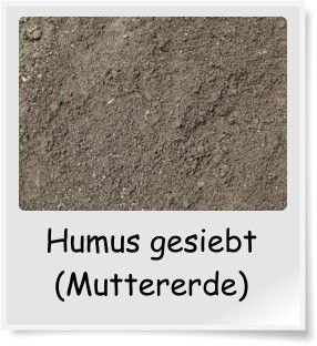 Humus gesiebt (Muttererde)