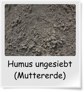 Humus ungesiebt (Muttererde)