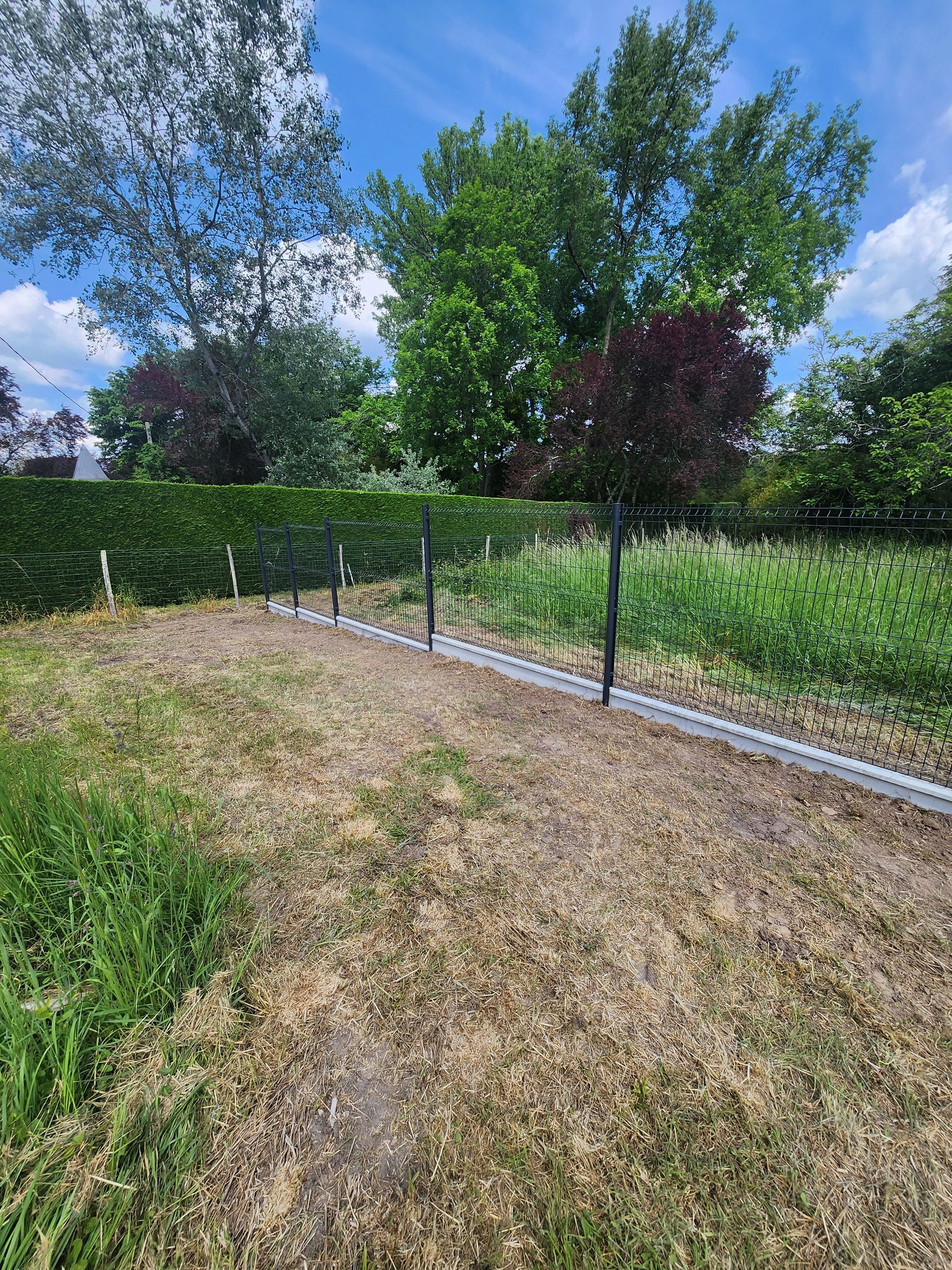 Une rangée de poteaux de clôture noirs à base métallique se dresse dans un jardin herbeux, près d'une haie verte et d'arbres.