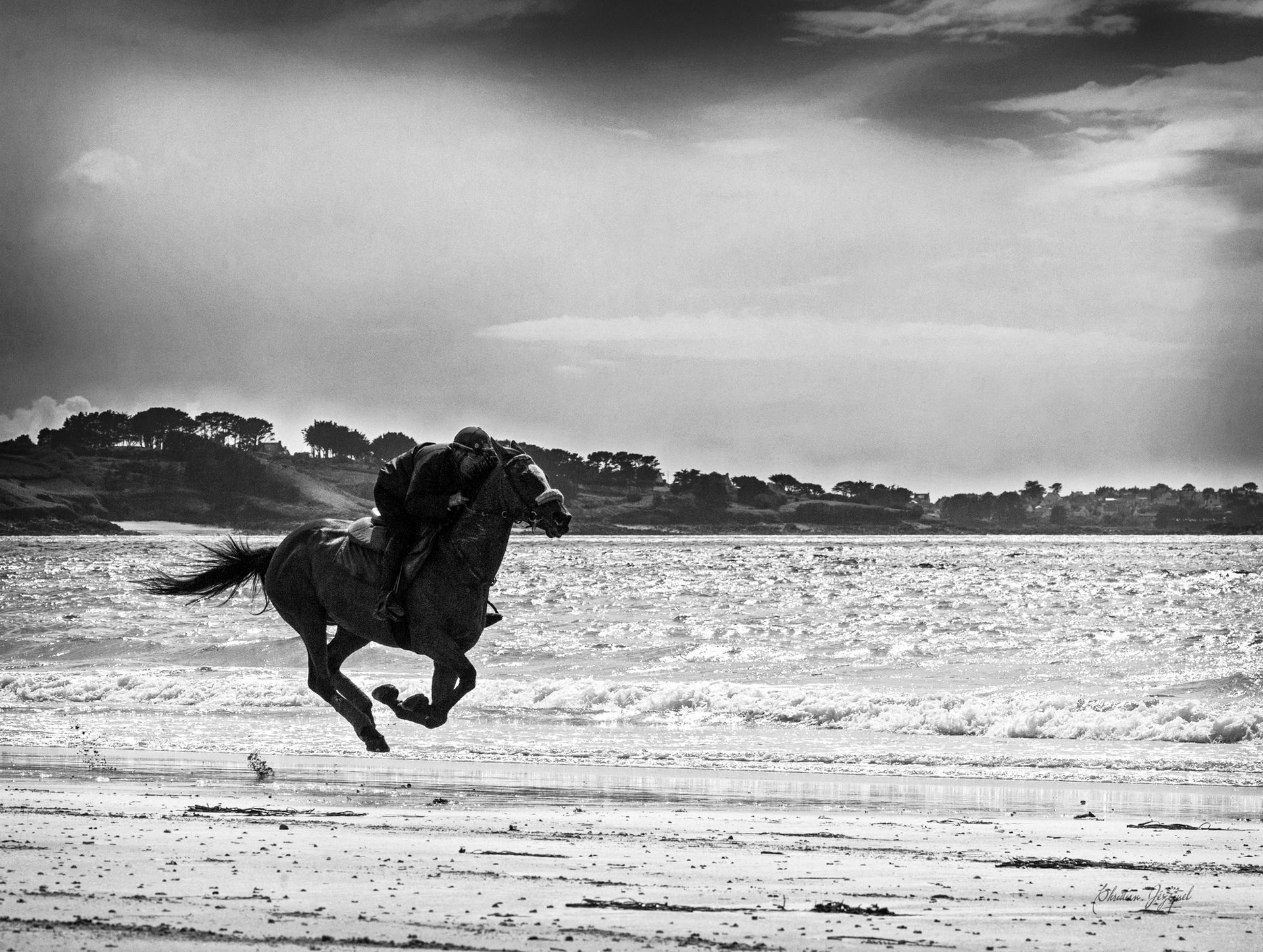 Un cheval et son cavalier galopent sur une plage de sable.