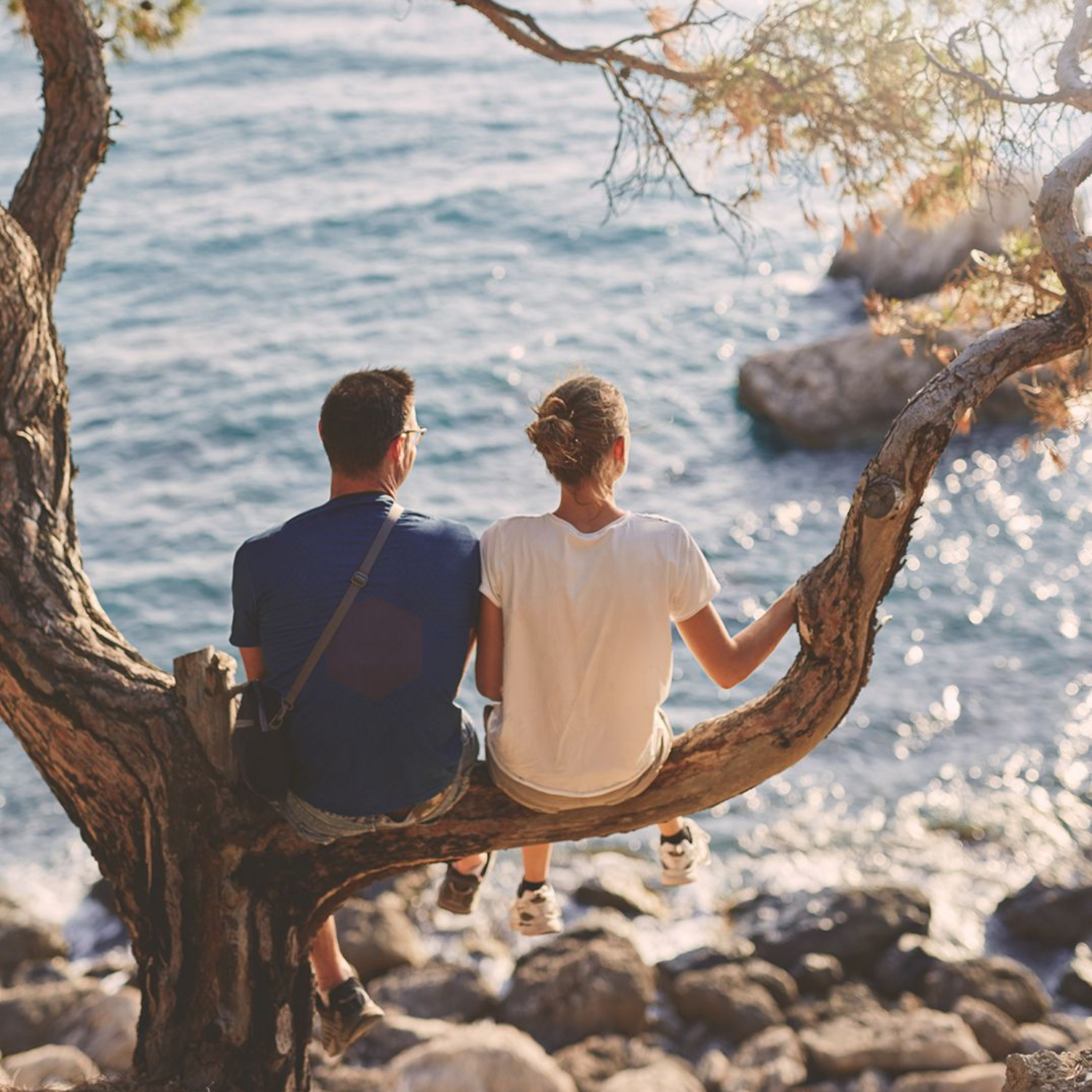 Un couple assis sur une branche d'arbre surplombant l'océan.