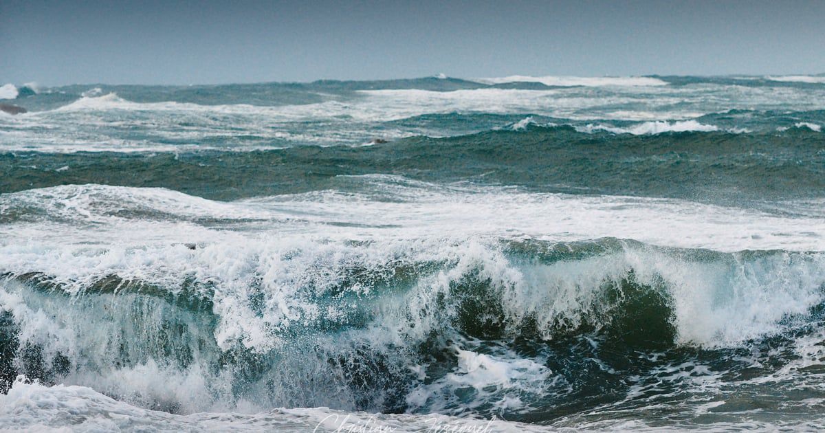 Les vagues déferlantes d'un océan.