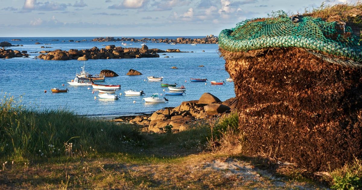 Côte de Meneham avec des bateaux qui voguent sur la mer.