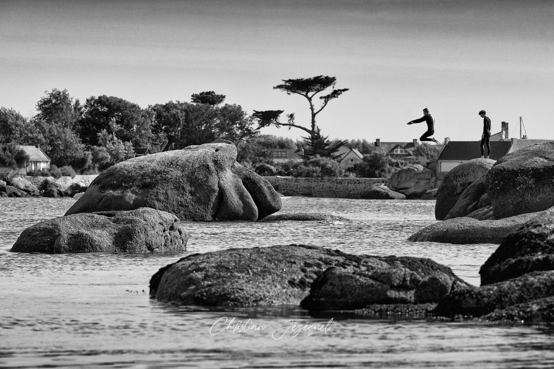 Paysage côtier avec arbres, et une personne qui saute d'un rocher dans la mer.