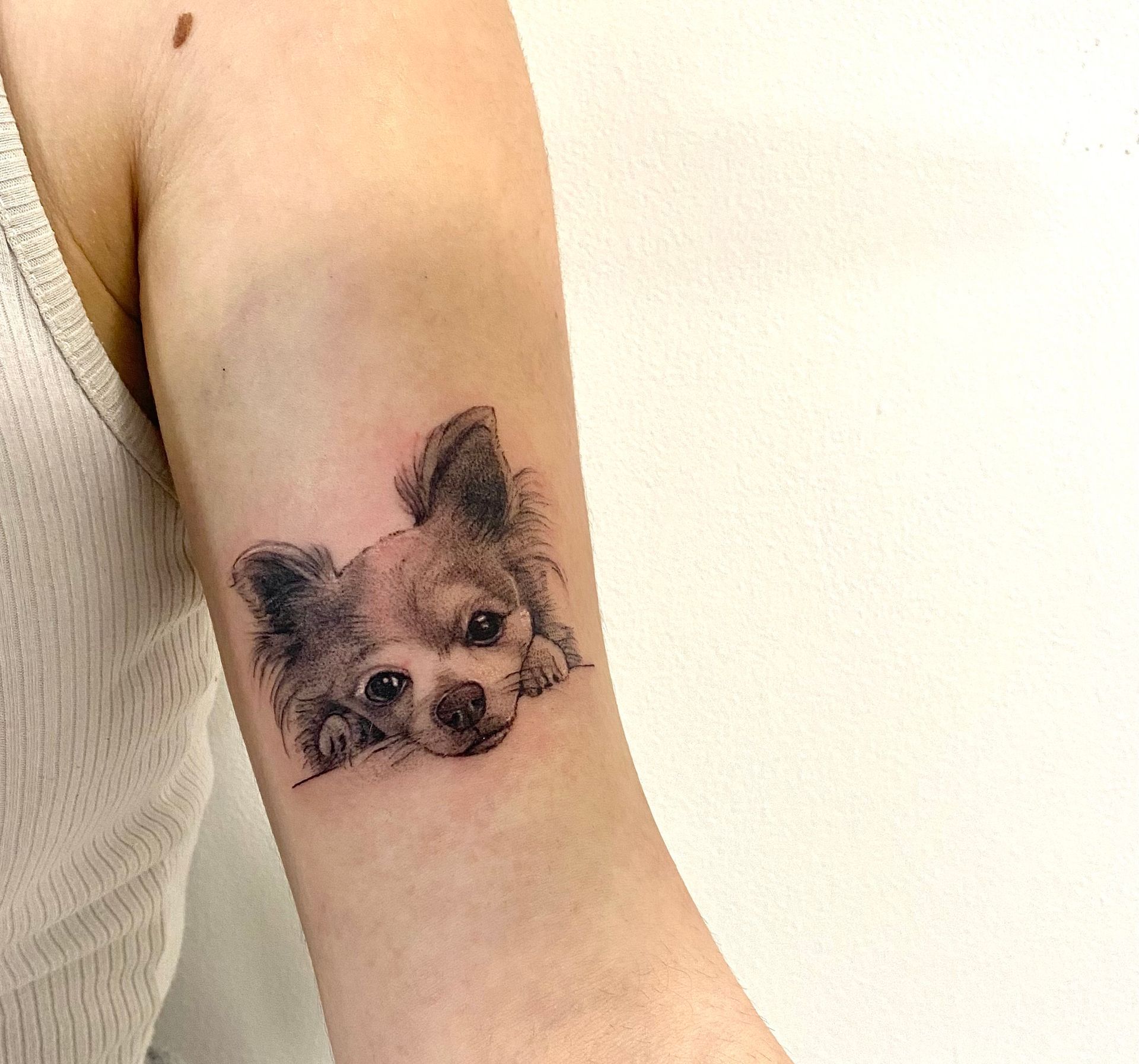 Giulia Raccagni Art Tattoo Studio PMU a mendrisio tatuaggio cagnolino