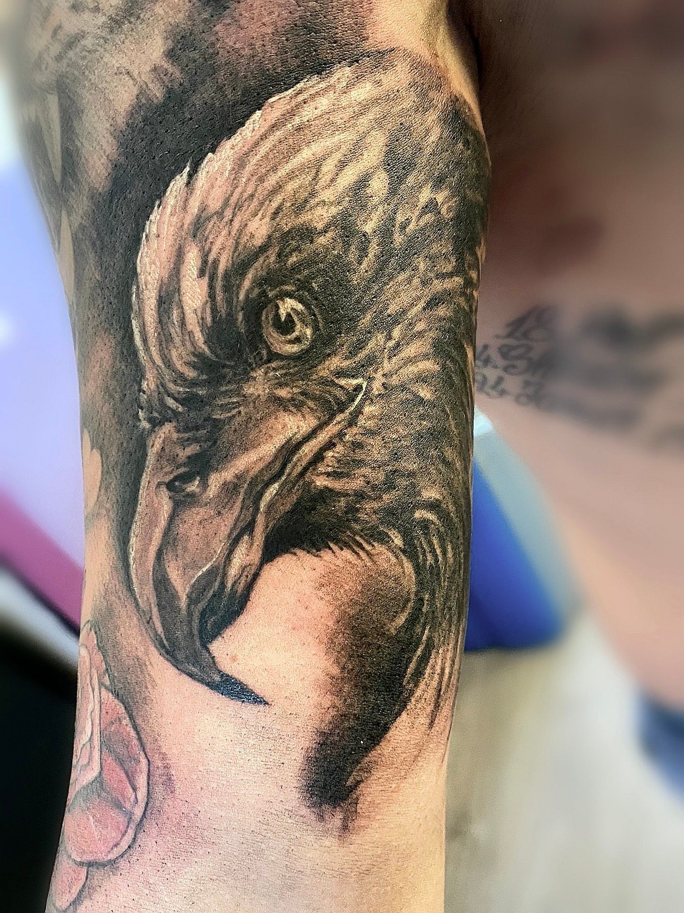 Art Tattoo Studio PMU tatuaggio di un falco