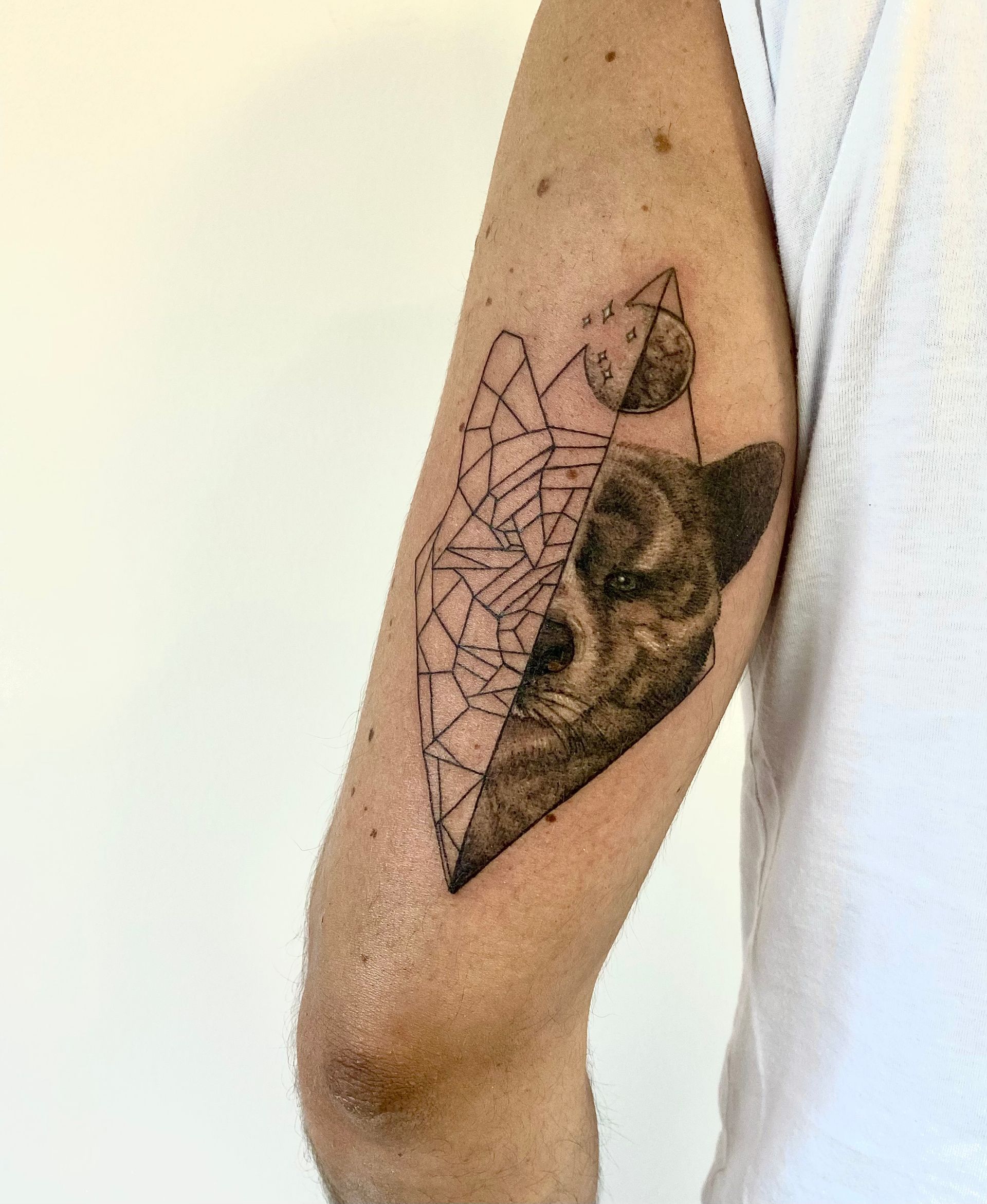 Tattoo Lupo a mendrisio