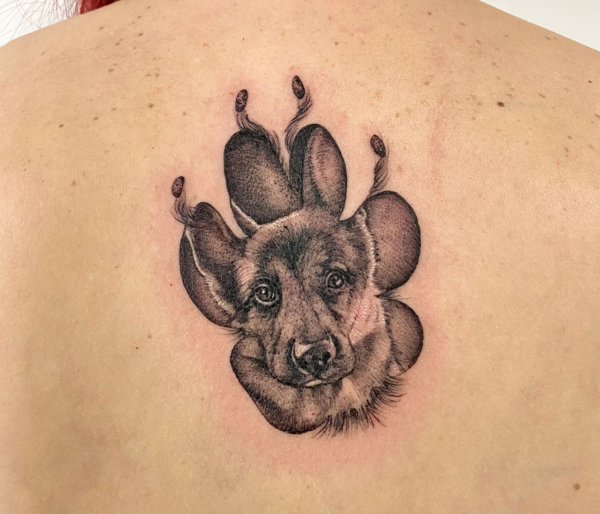 tatuaggio zampa cane