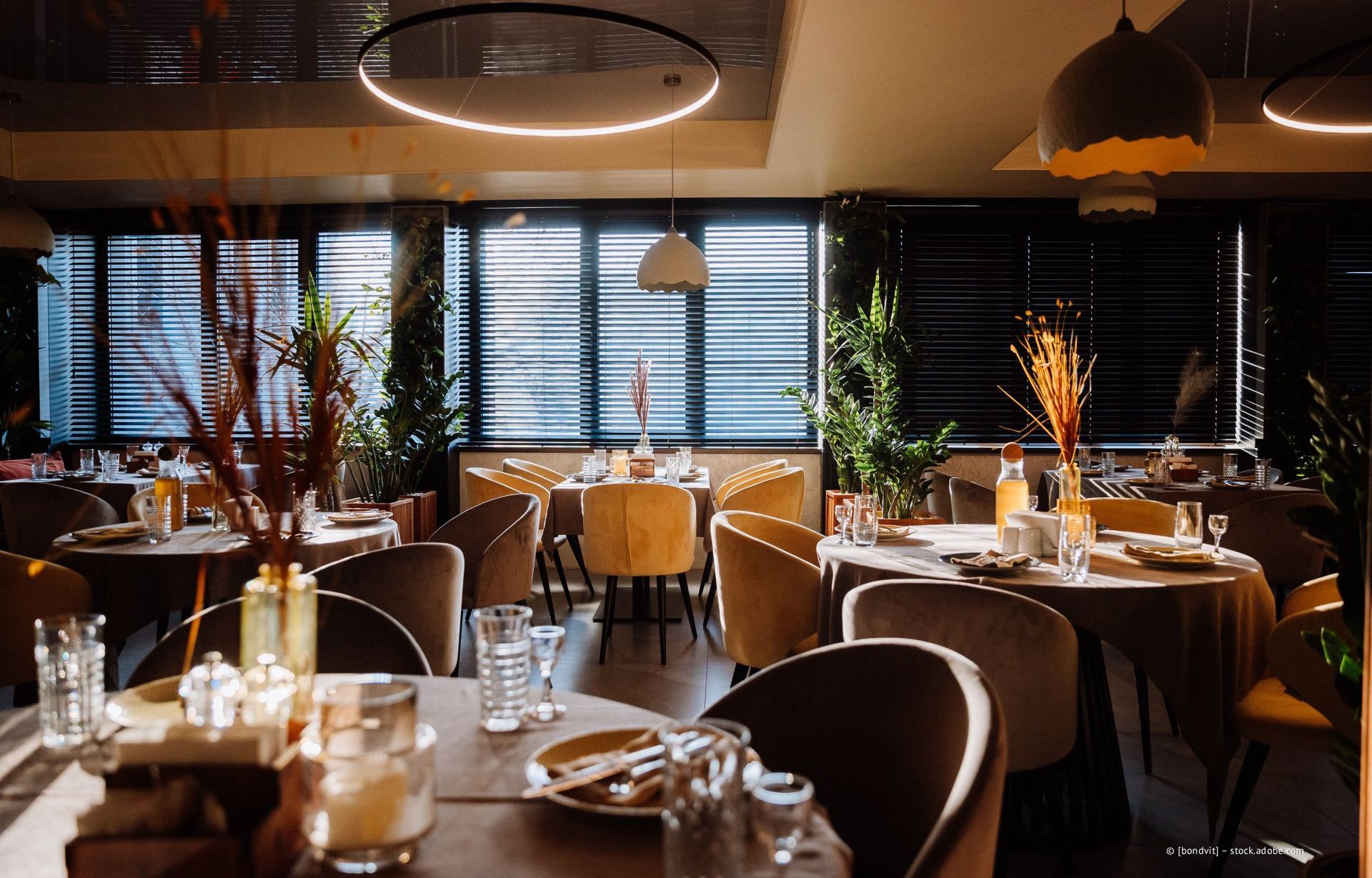 Restaurant-Innenraum mit gedeckten Tischen, warmer Beleuchtung, gelben Stühlen und dekorativen Pflanzen.