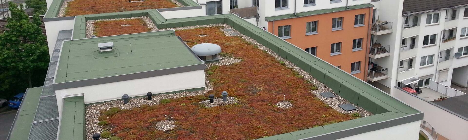 Flachdach Dachbegrünung