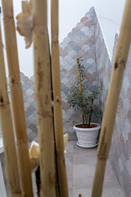 Una planta en maceta está sentada en una habitación rodeada de palos de bambú.