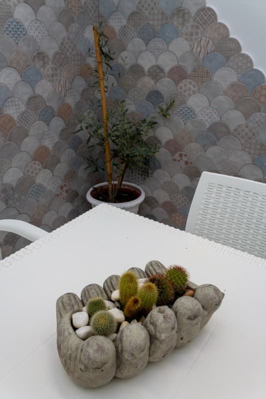 Un recipiente con cactus está sobre una mesa al lado de una planta en maceta.