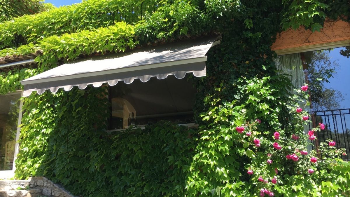 Store banne gris avec mur végétal