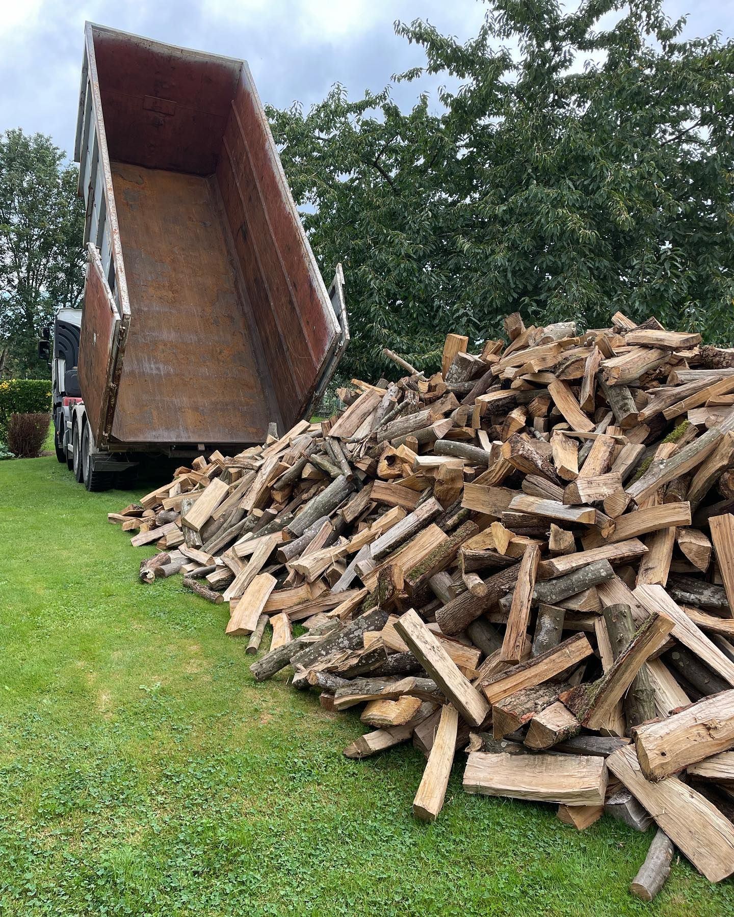 Un camion-benne décharge un gros tas de bois de chauffage sur une pelouse.