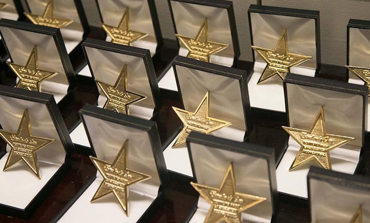 Trofeos de estrella dorada en cajas de exhibición negras dispuestas en filas.