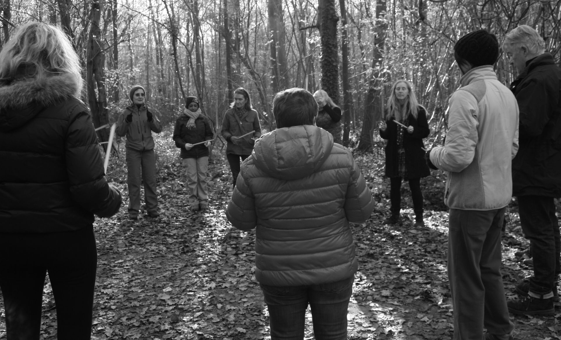 Atelier en pleine forêt