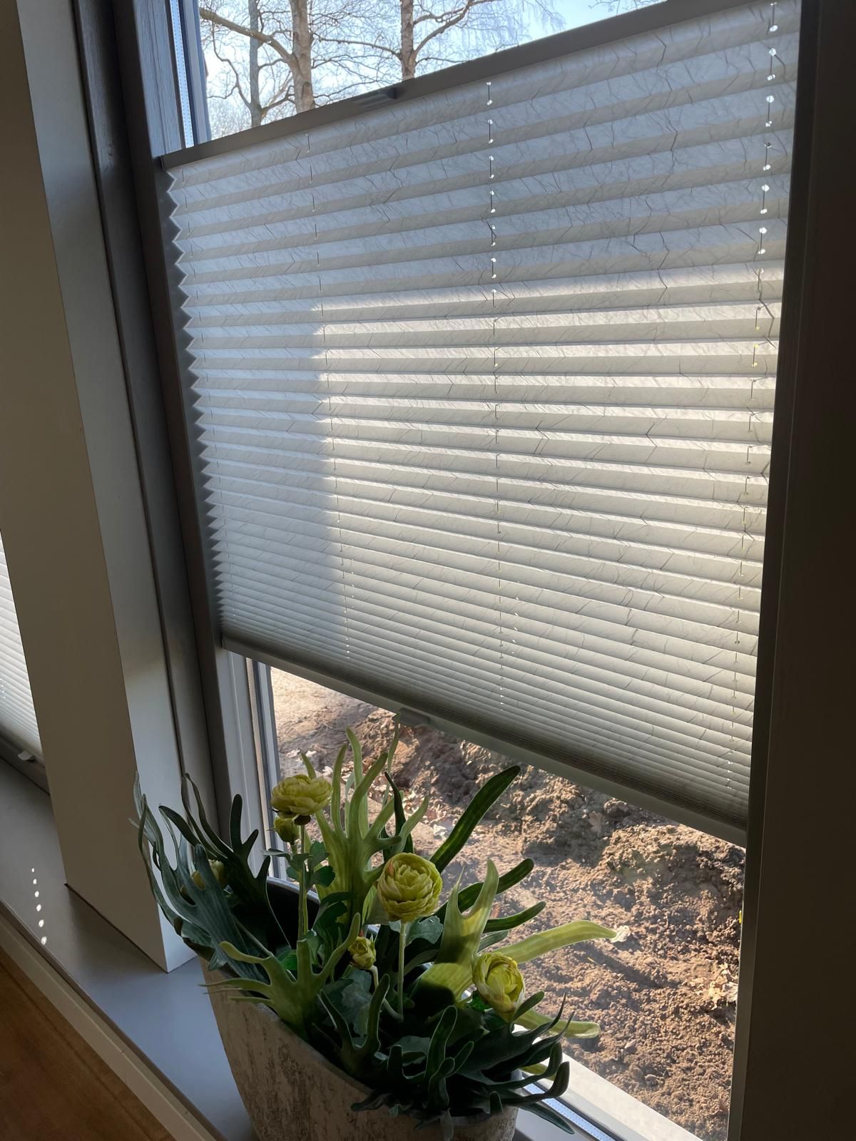 Eine Topfpflanze steht auf einem Fensterbrett neben einem Fenster mit Jalousien.