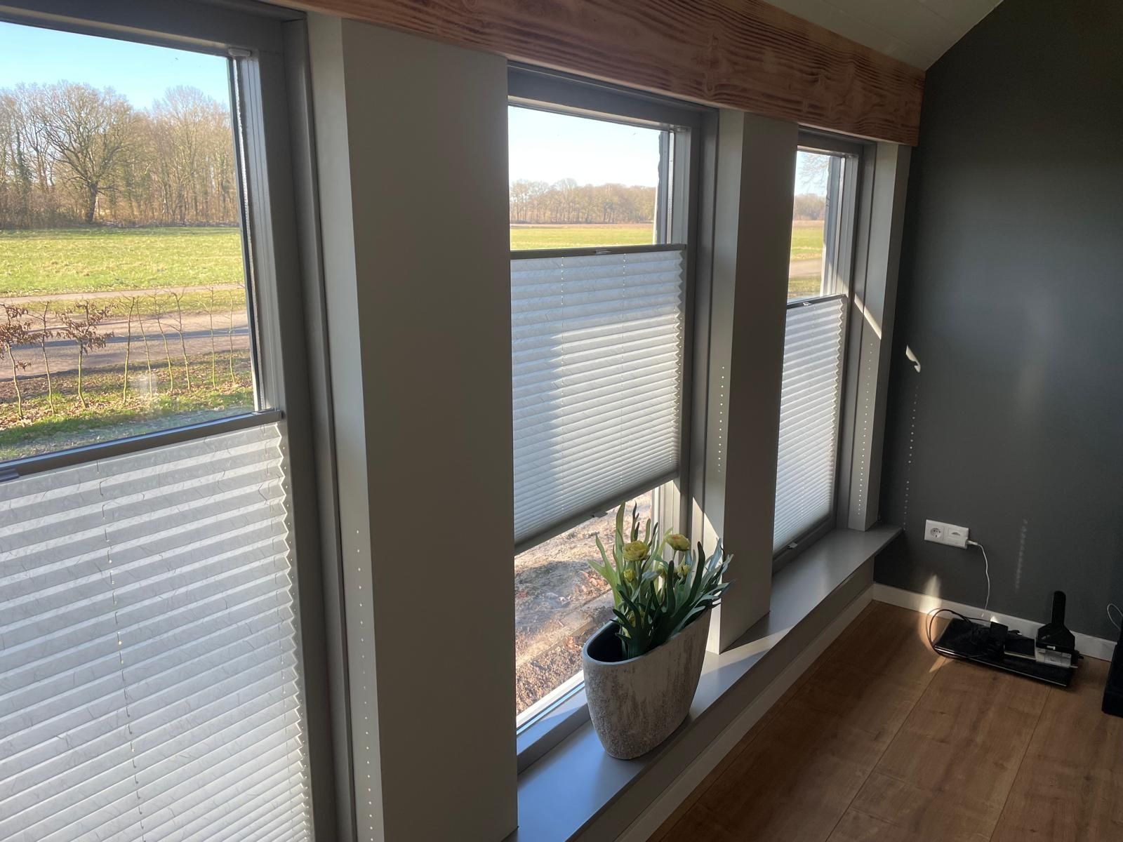 Ein Raum mit vielen Fenstern und einer Topfpflanze auf der Fensterbank.