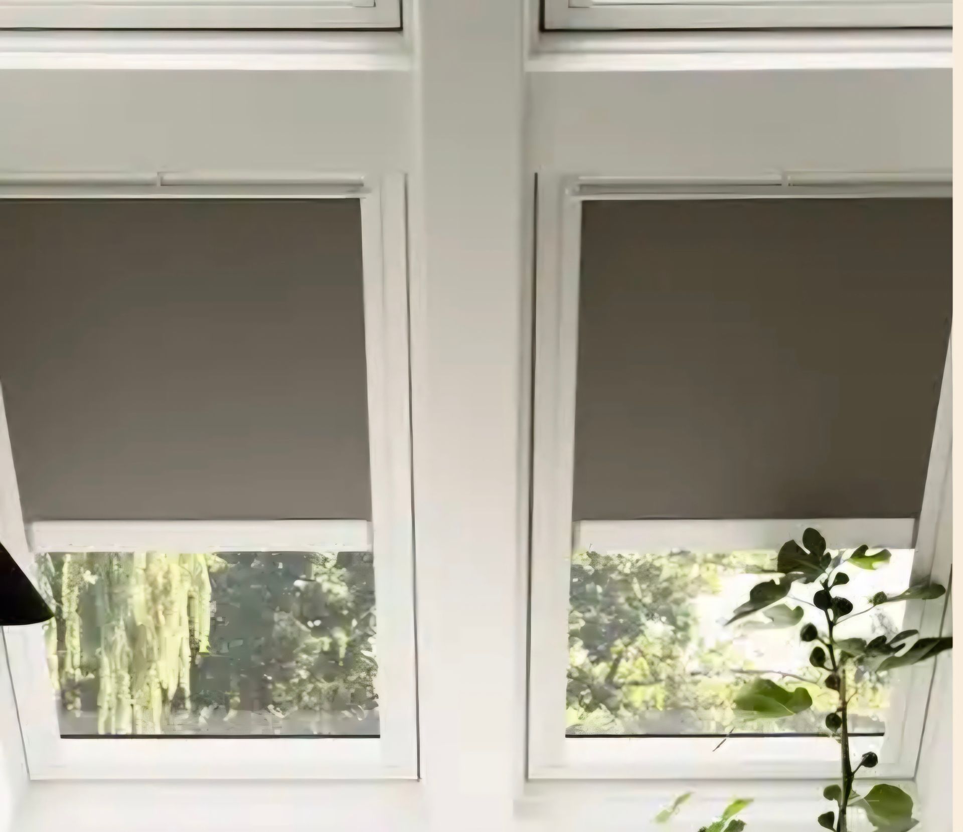 Ein Fenster mit einer Pflanze davor