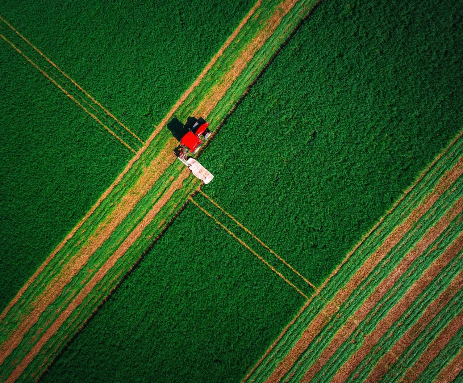 Una vista aérea de un tractor arando un campo verde.
