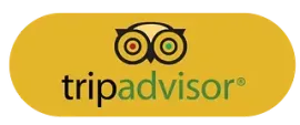 Un logotipo amarillo de Tripadvisor sobre un fondo blanco.