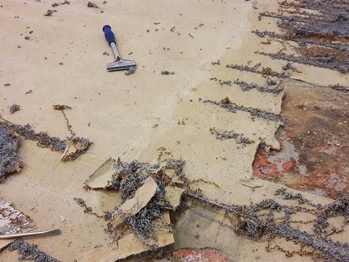 Ein Hammer liegt auf dem Boden neben einem Stück Teppich