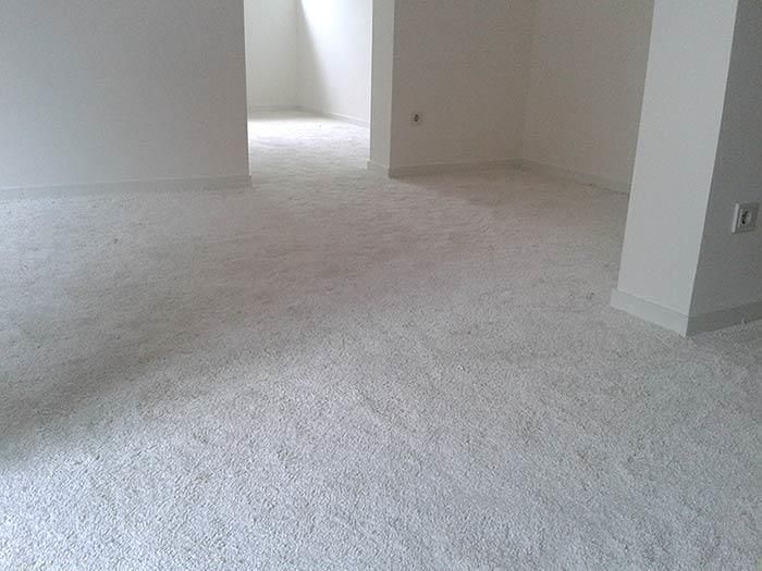 Ein Raum mit weißem Teppichboden und weißen Wänden.