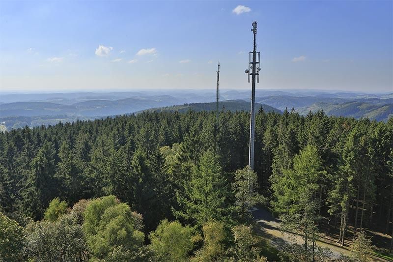 Ein Telefonmast mitten in einem Wald