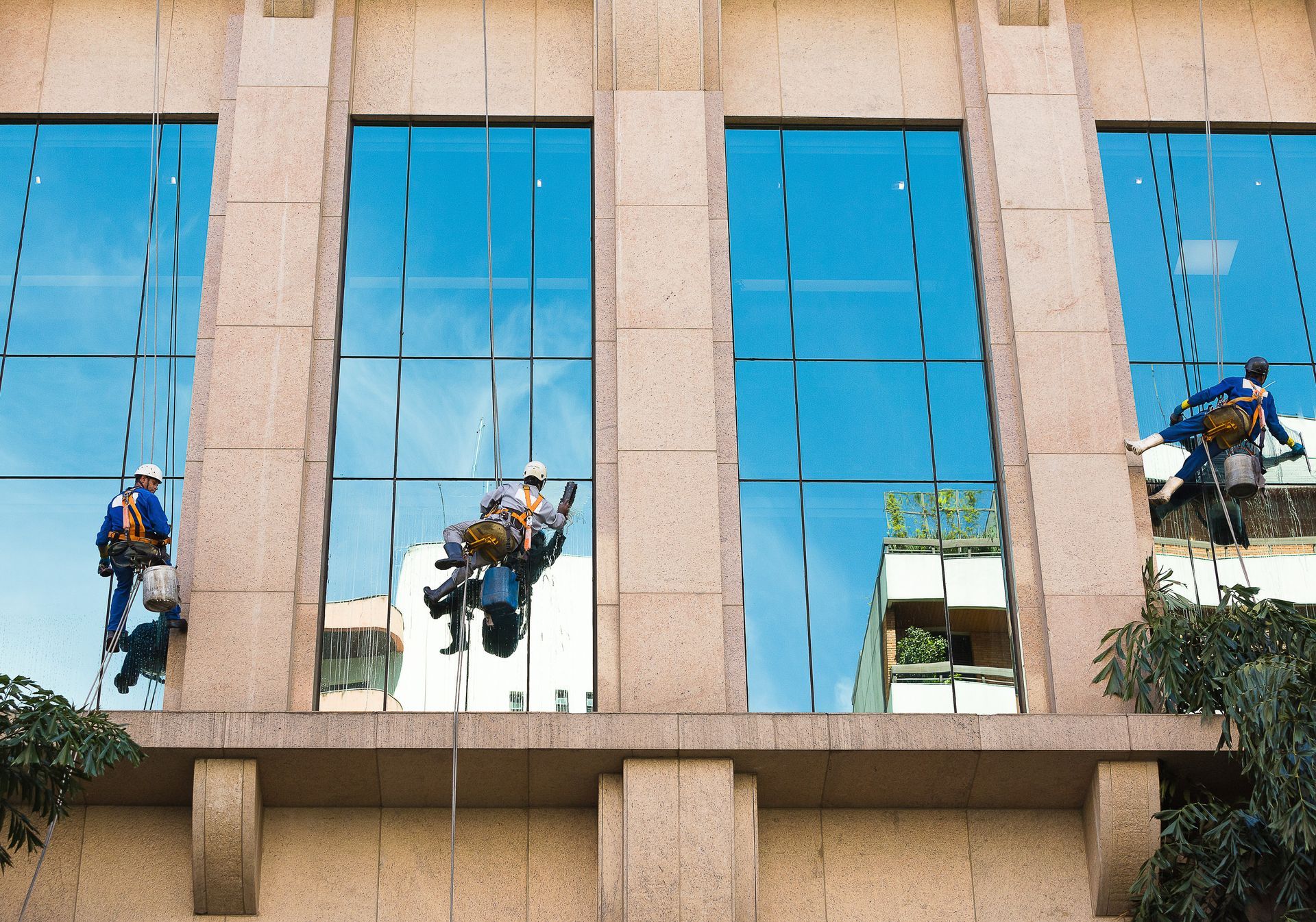 Un grupo de hombres está limpiando las ventanas de un edificio.