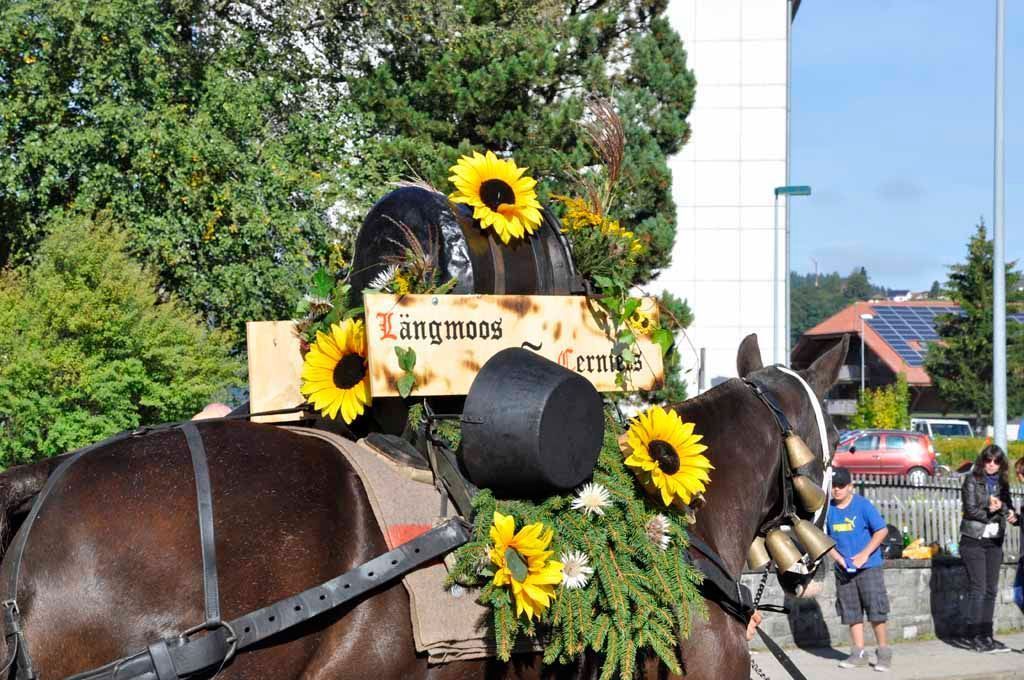 Käserei - Vreneli's Bergkäsereien - Plaffeien