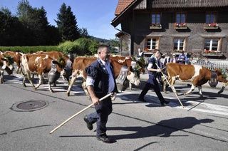 Käserei - Vreneli's Bergkäsereien - Plaffeien