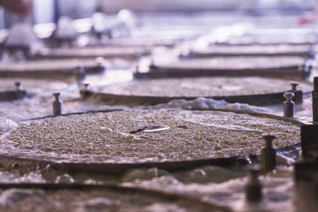 Käserei - Vreneli's Bergkäsereien - Plaffeien