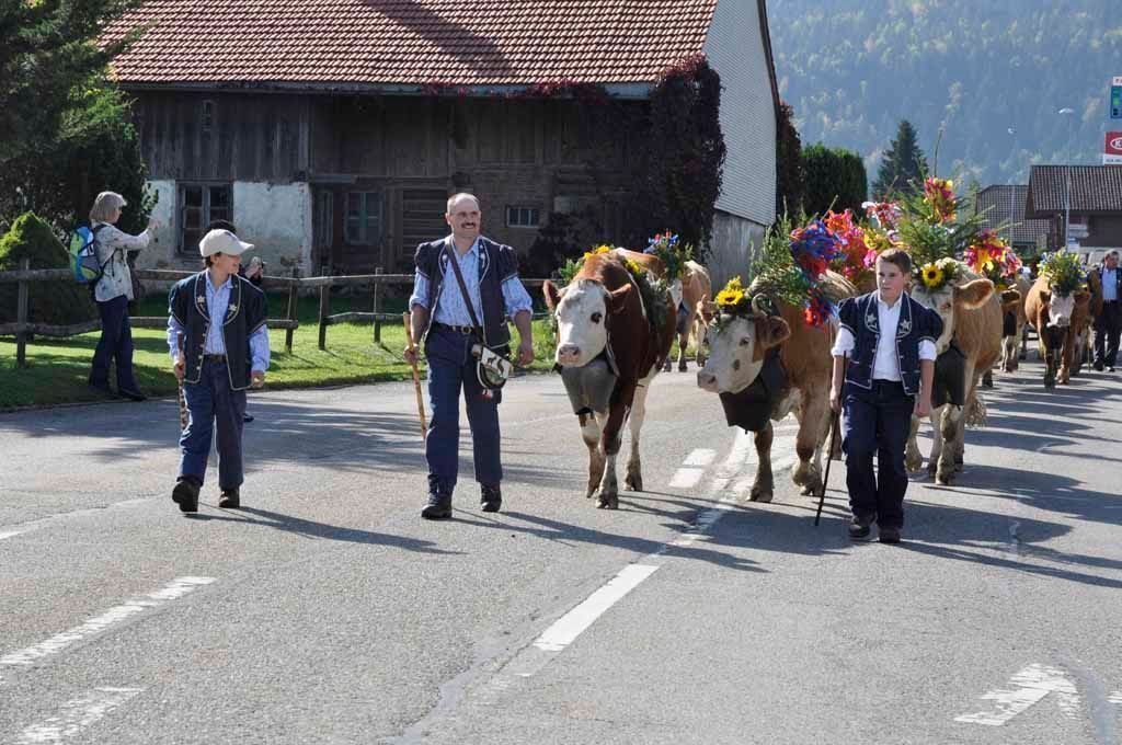 Käserei - Vreneli's Bergkäsereien - Plaffeien