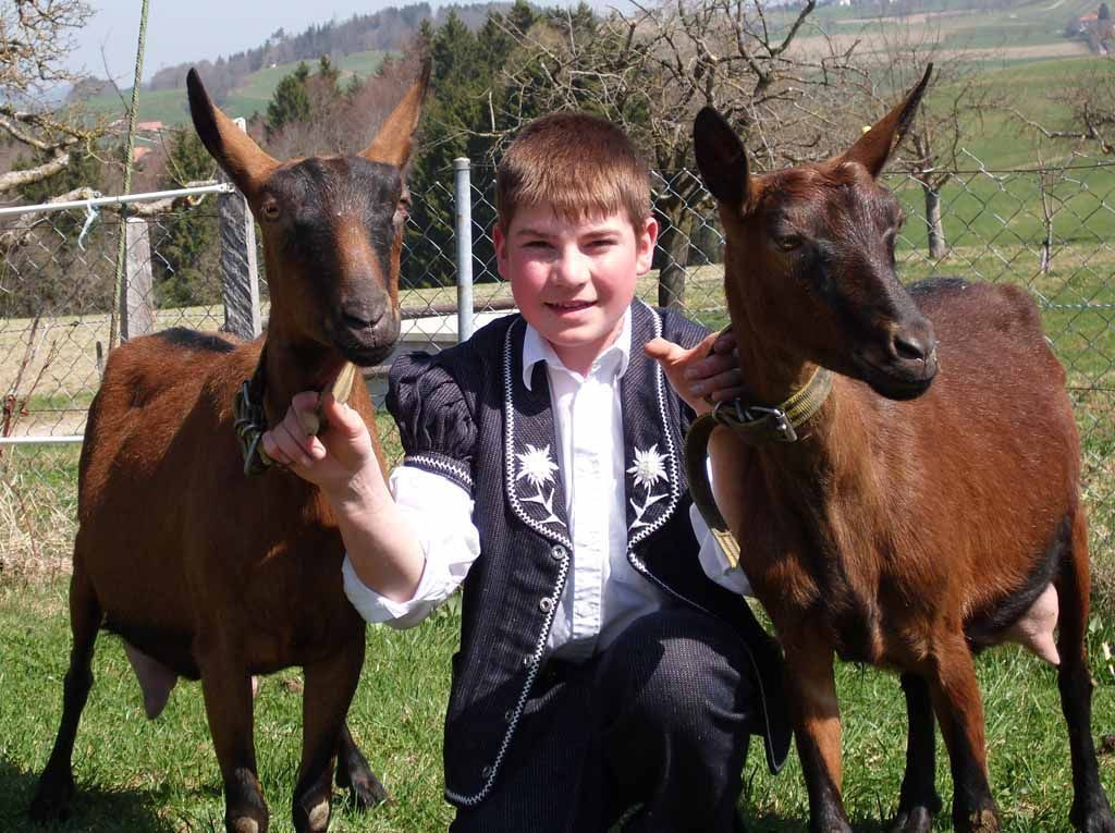 Käserei - Vreneli's Bergkäsereien - Plaffeien