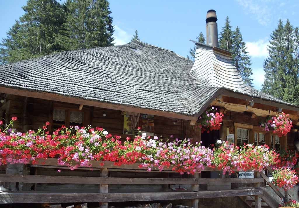 Käserei - Vreneli's Bergkäsereien - Plaffeien