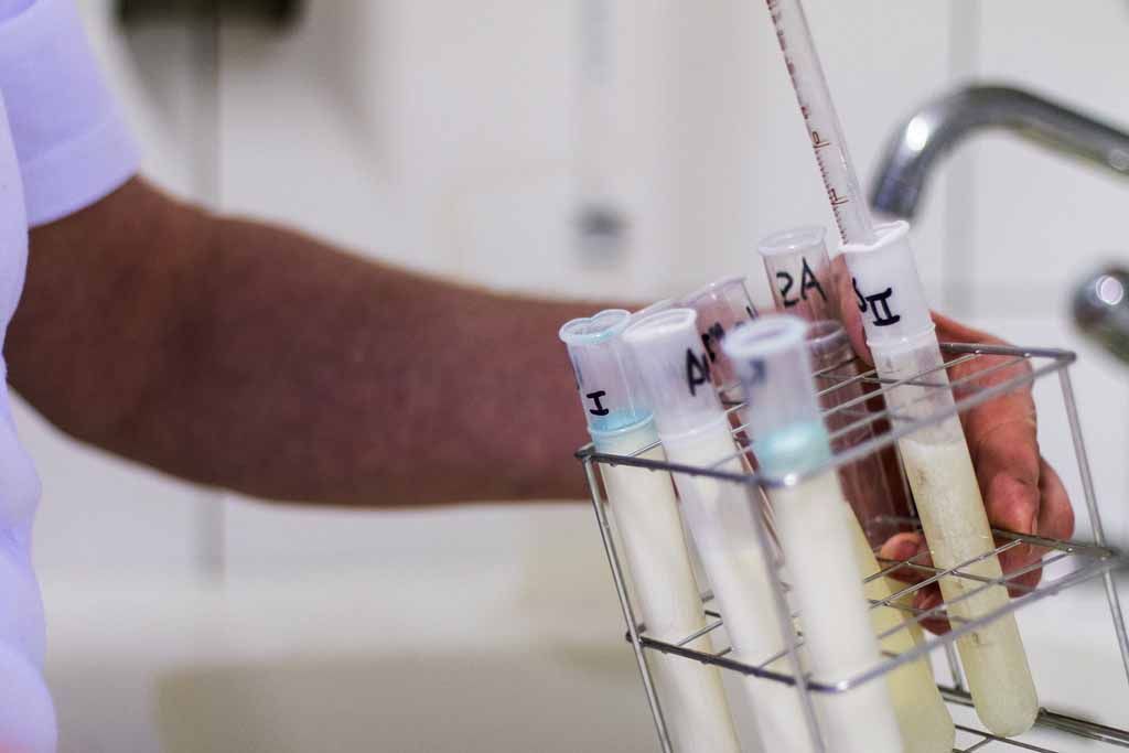 Käserei - Vreneli's Bergkäsereien - Plaffeien