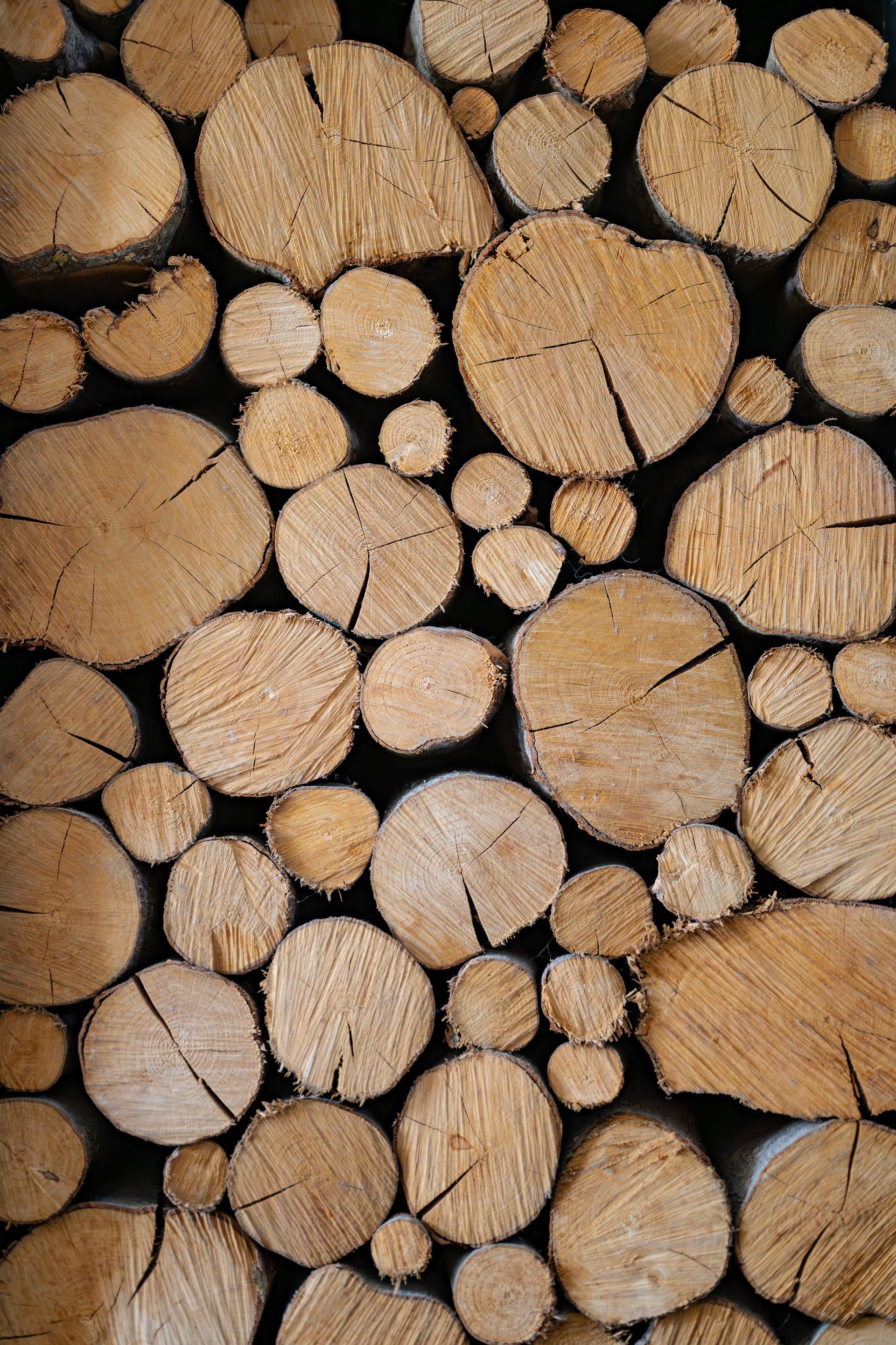 Tas de bûches de bois