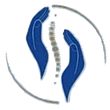 Logo de l'entreprise Amélie Martin Ostéopathe