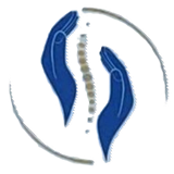 Logo de l'entreprise Amélie Martin Ostéopathe
