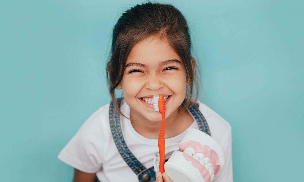 Ein kleines Mädchen putzt sich mit einer Zahnbürste die Zähne und hält ein Zahnmodell in der Hand | Zahnmedizin am Neckar