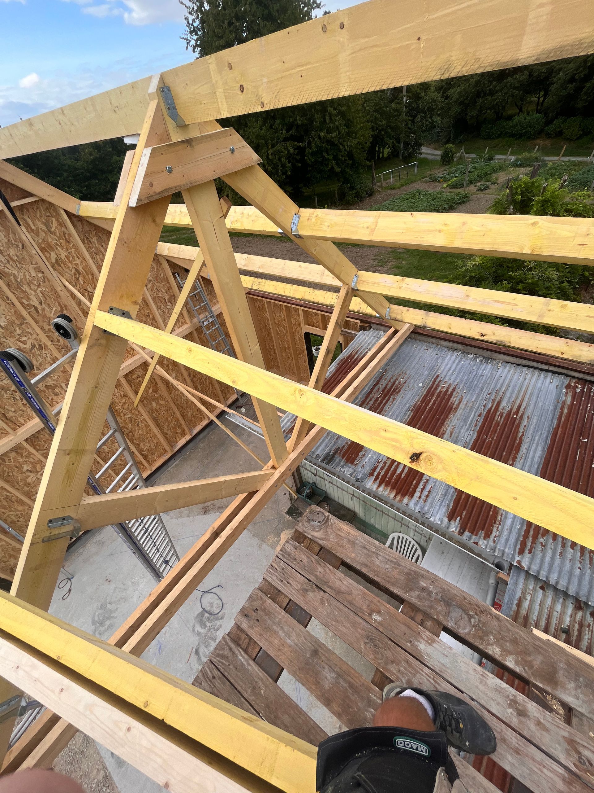Charpente en bois en cours de construction au-dessus d’une maison, avec des poutres jaunes et une toiture en tôle ondulée en dessous.
