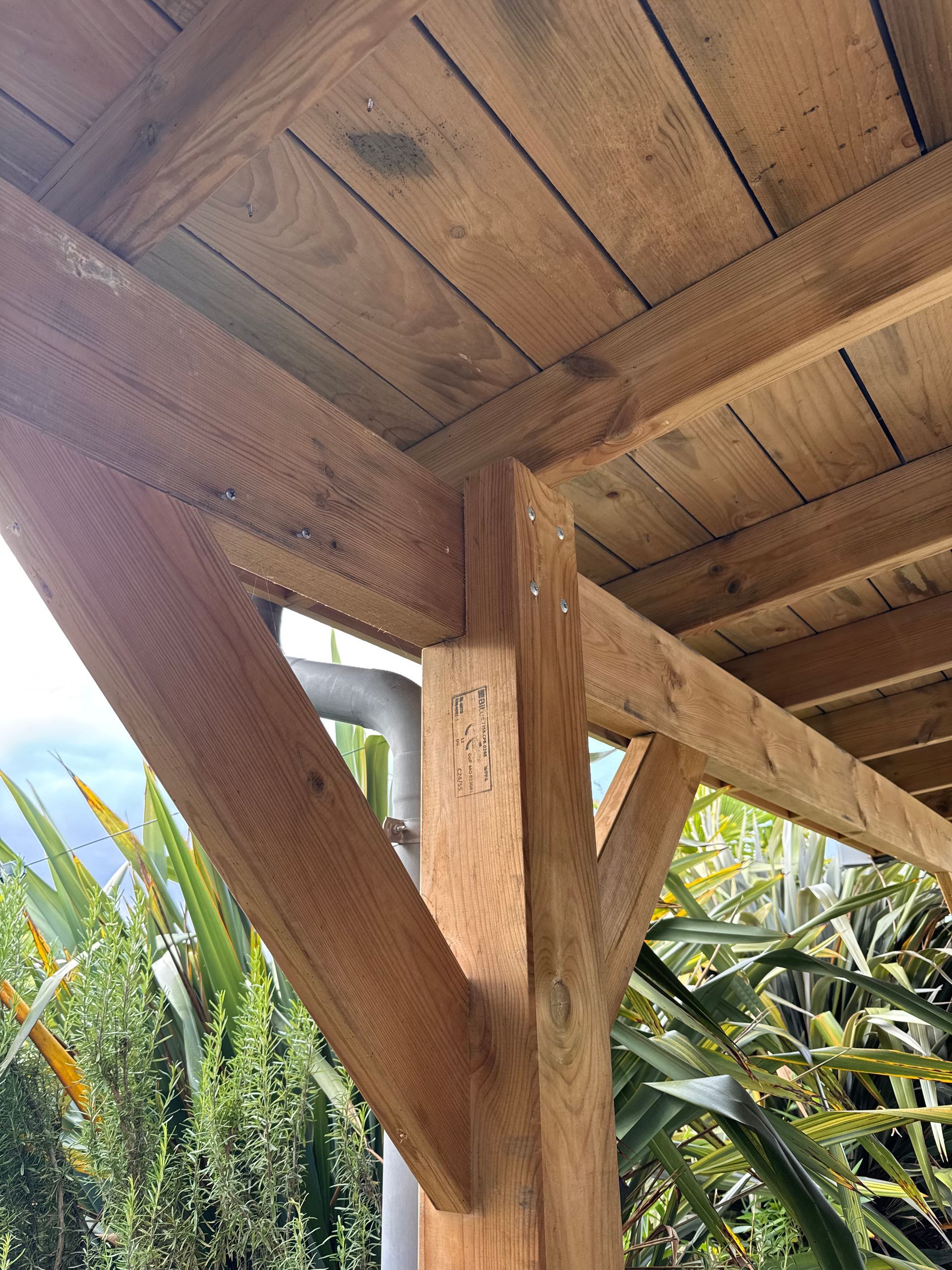 Toit et poutres porteuses d’un kiosque en bois au-dessus de plantes vertes, vus d’en dessous