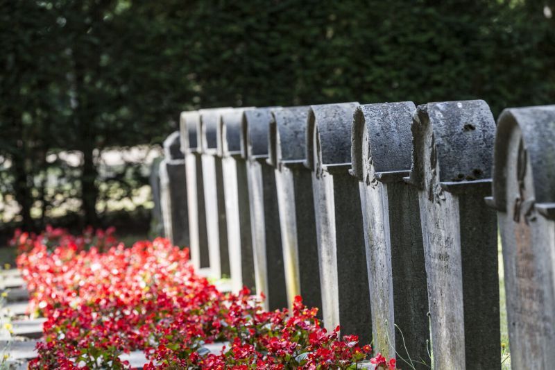 Eine Reihe von Gräbern auf einem Friedhof mit roten Blumen im Vordergrund