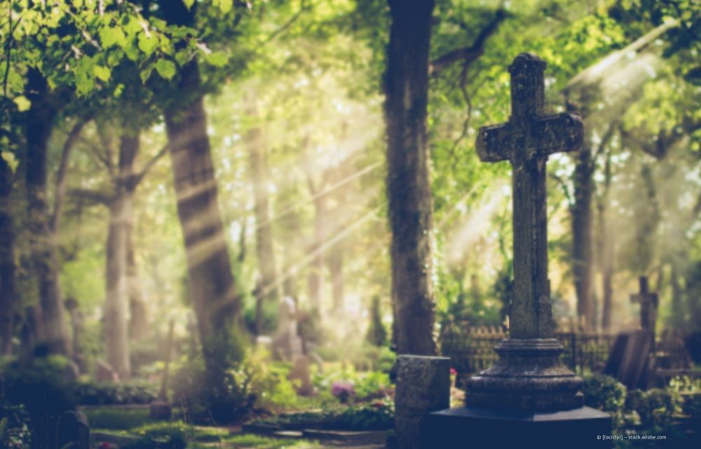 Steinkreuz auf einem sonnenbeschienenen, verwilderten Friedhof, im Hintergrund Bäume und andere Grabsteine.