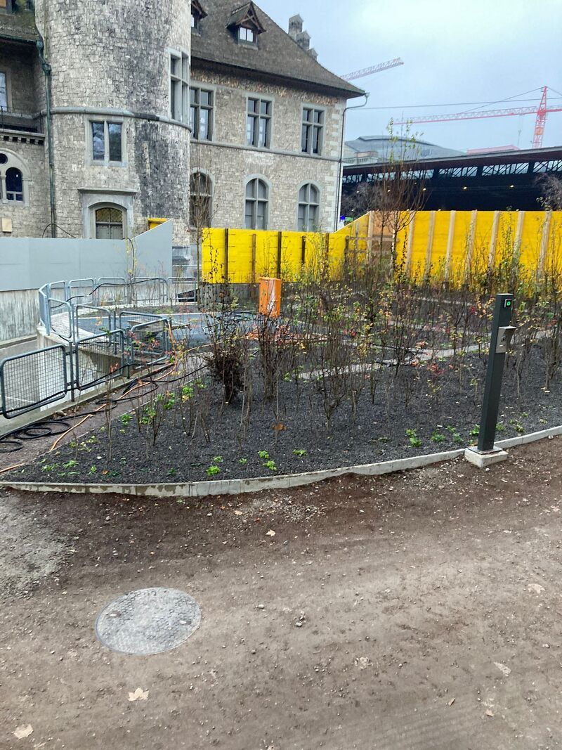 Baur baut Gartengestaltung