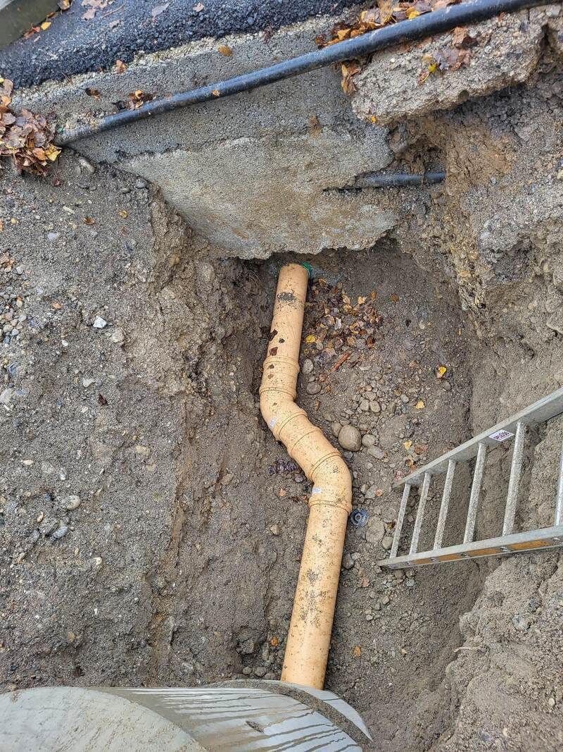 Baur baut Gartengestaltung