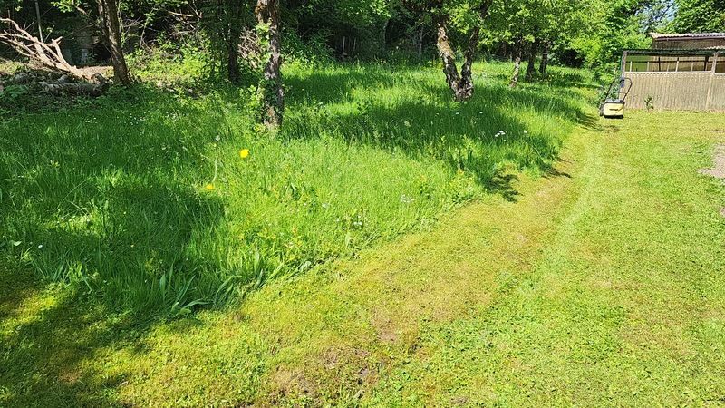 Baur baut Gartengestaltung